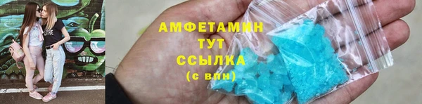 сатива Рославль